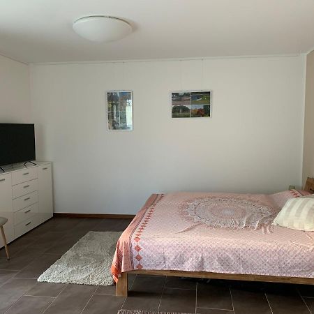 Wohlfuehl-Apartment Ettlingen Dış mekan fotoğraf