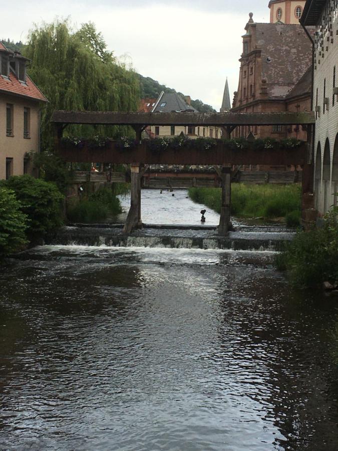 Wohlfuehl-Apartment Ettlingen Dış mekan fotoğraf